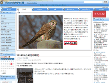 Tablet Screenshot of kestrel.jp